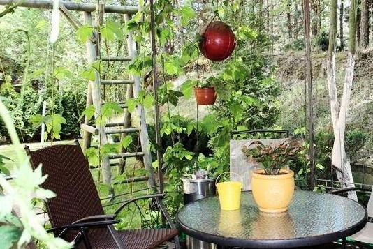 Apartments Isle Of Pinecones Nida Room photo