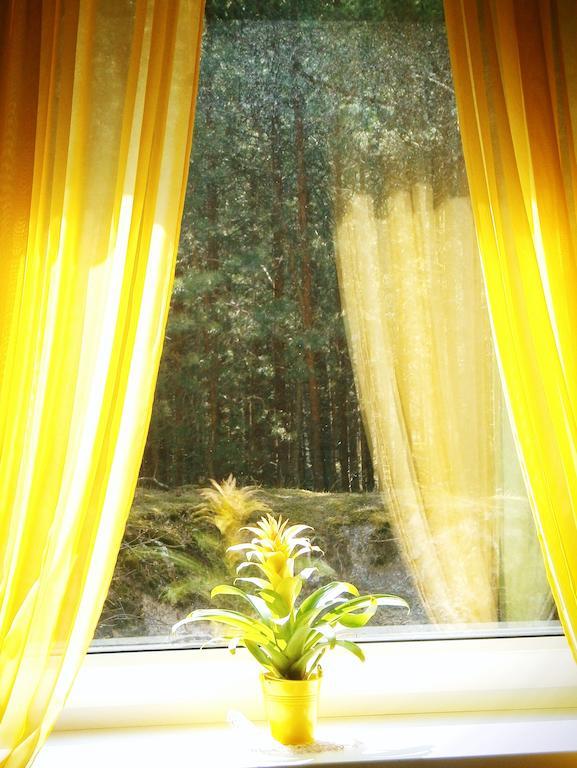 Apartments Isle Of Pinecones Nida Room photo